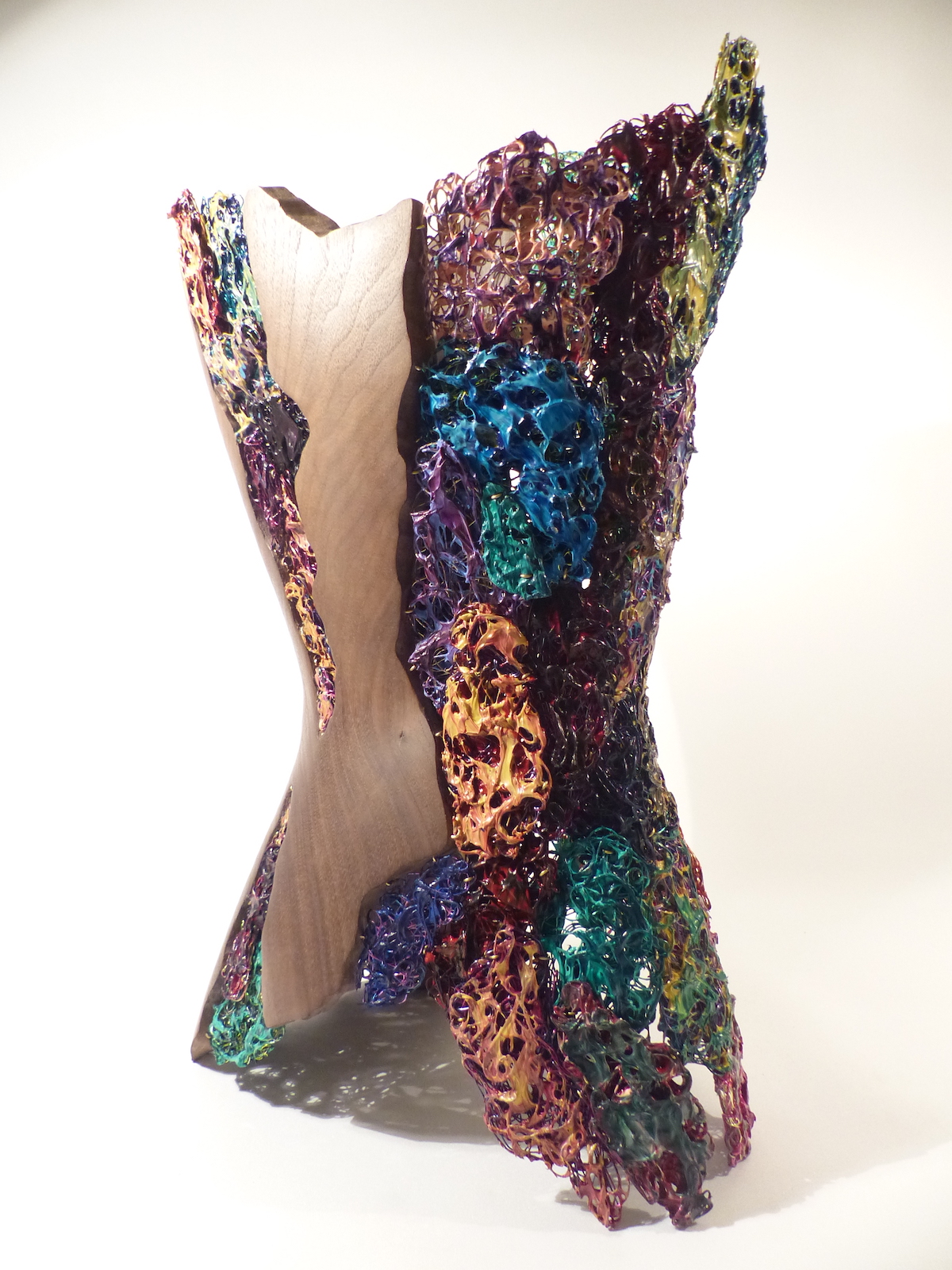 Puzzling Wholeness Learning to accept the rejected parts of the self