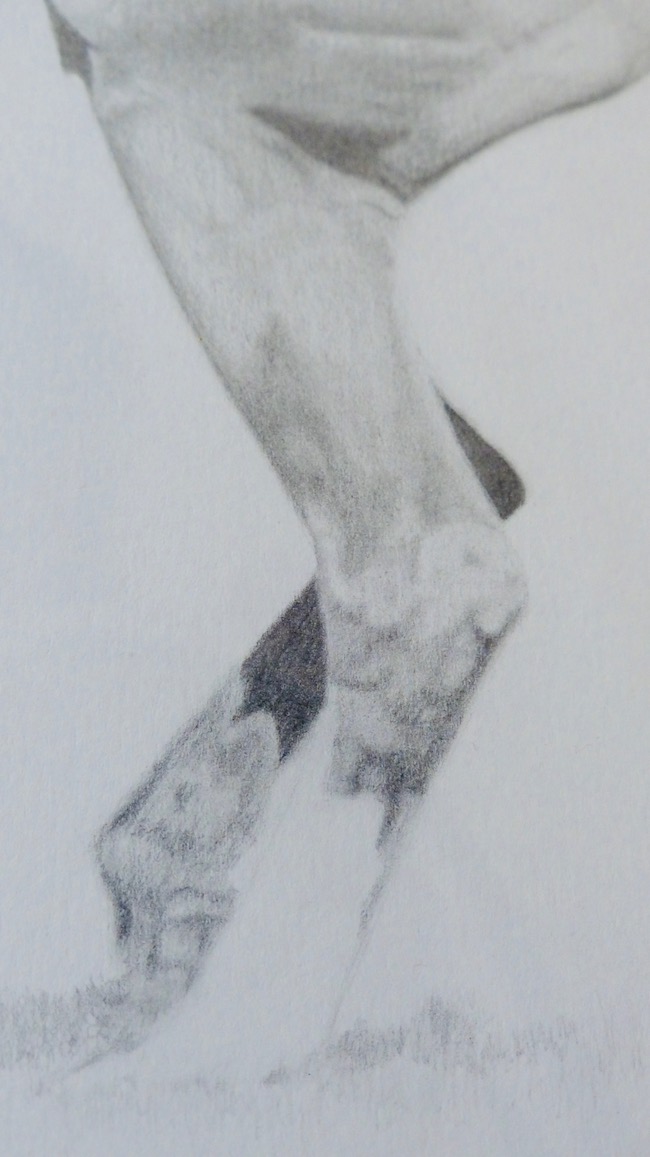 Pencil drawing of rearing stallion legs close-up